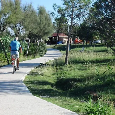 In Privlaka Privlaka (Zadar)